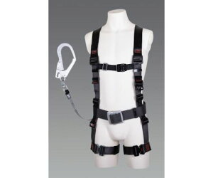 dH ė~pitn[lX/掮[htj 1 EA998FF-41