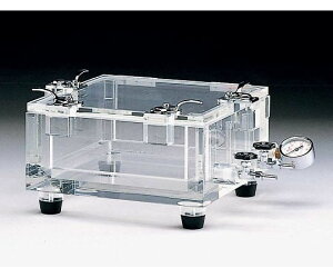 TvebN AN^fVP[^[@UB^ 1 00175