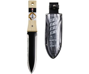 V eRؖxP[Xt 1 2038420