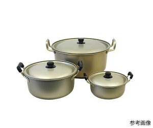 AJIA~ イ_@pidj@16cm 1