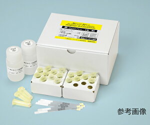 v}n HAQȈՌoLbgiAQAC@CmN}gjA[hiMpj@20 1Zbg 023176