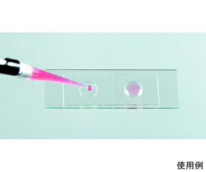 Diversified�@Biotech �X���C�h�E�F���@�[��0.25mm 1��(25����) MIWE-1000