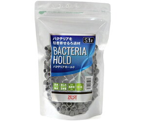 ̑ phߍށ@oNeAz[h@S@1L 1