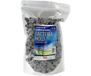 ̑ phߍށ@oNeAz[h@M@3L 1(3L)