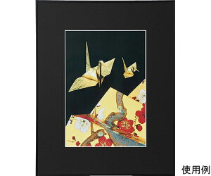ケンコー・トキナー アルミ額縁 画廊 A3ノビ アクリル入り ブラック 1箱 AGR-A3N-BK-AC
