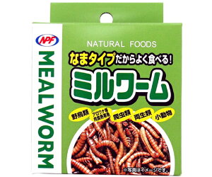 i`ybgt[h ~[@35g 1 1581