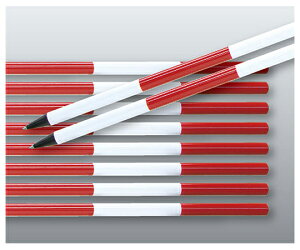 シンワ測定 ポール アルミ製 2m 10本入 1箱(10本入) 76996