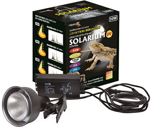 ���̑� SOLARIUM�@�i�\�����E���j50W�Z�b�g�i���^���n���C�h�����v+���ʈ����+��p�\�P�b�g�j 1�Z�b�g