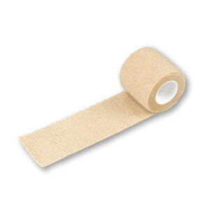 | ^PgRs^bƃ^C@5.0cm×4.5m@6 1(6) 021508