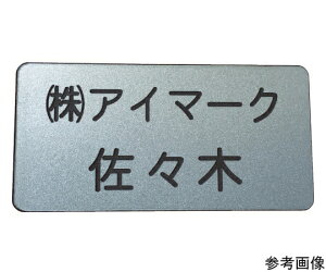 �A�C�}�[�N �ʍ얼�D�@25×50×2mm�@�����^�C�v�E�V���o�[�n������ 1�� AN-2550SC