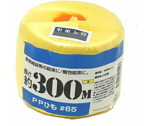  PPʊЂ@300m@ 1 00720009