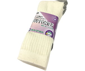 ACEi܁j T|[^[Li@ۃ\bNX@4g 1g(4) AG210