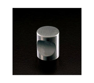 GXR ܂(XeX) 20×24mm/M4 1 EA951CA-53