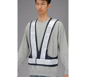 GXR SxXgELED(/) 1 EA983R-62