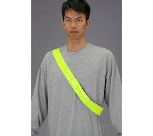 GXR LED˂ij@[CR2450×1] 1 EA983RF-11