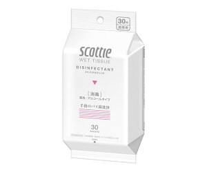 NVA ŃEFbg^I@gу^Cv@30 1(30) 77113