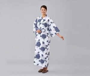 K[[Q@pS@74515@IITLfBJ