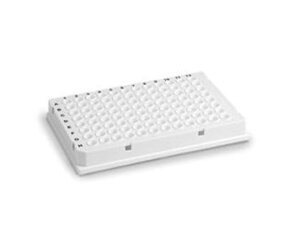 BIORAD 96well�@Hard-Shell�@�}�C�N���v���[�g�@white�@well/white�@shell 1�� HSP9655