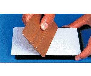 Thermo@Scientific@Nunc AvP[^[ 1Zbg(2) 250050JP