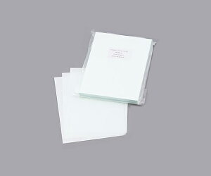 AYsAiAYj AYsAŋۃN[y[p[@A4@@2500 1(250×10ܓ)