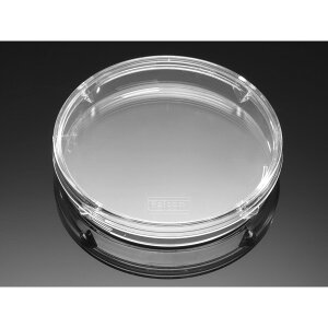 CorningiFalconj vX`bNfBbVp@50X9mm@߃t^t 1P[X(20×25pbN) 351006