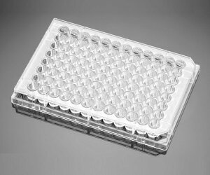 CorningiFalconj 96EFꖢZJ`[v[g@t^tAʕAŋہA50/P[X 1(50) 351172