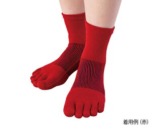 Yf 3DGAbV\bNXi5{w\bNXj@~h@ 1 AM-12