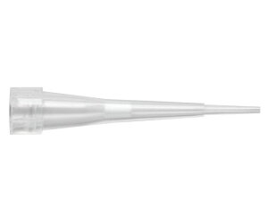 QSP�i�T�[���t�B�b�V���[�T�C�G���e�B�t�B�b�N�j QSP �t�B���^�[�`�b�v 10��L 31.5mm ���b�N(96�{×10���b�N) �ŋۍ� 1��(96�{×10��) F104-96RS-10-Q