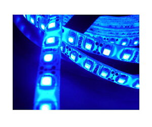 e[vLED 5050 300LED h F 5M 1 LED-TP50-WP-BL-5M