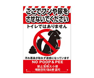 ŃMl쏊 ړIŔ ybg̃tA֎~ 1 K-041