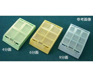 ɉp쏊 oCIfBbV T 9 sN 1(1000) 2029-4-2