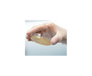 xNgEfBbL\ BD _bNiTMj v[g SCDLPV|n 1(1{×30) 251511