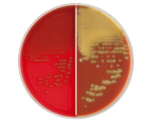 xNgEfBbL\ BD BBLiTMj qcWtV|nZ/ `R[gIIV|nLDIP 100 1(1{×100) 252793