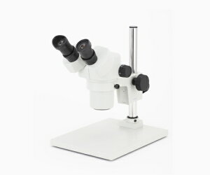 J[gw DSZV[Y̌ 1 DSZ-44P-260