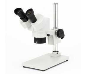 J[gw NSWV[Y̌ 1 NSW-2SB-260