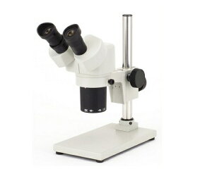 J[gw NSWV[Y̌ 1 NSW-30SB-260