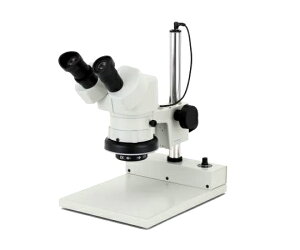 J[gw NSWV[Y̌ 1 NSW-20PG-260