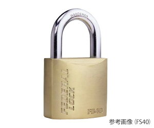 tFf evL[V_[싞 1 FS50-P