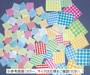 Shamrock X^_[h hbgx 11mm ANA 1000hbg SDL-43-16