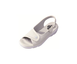 _C}c PW8501 sAEH[J[ zCg L 1 PW8501 L