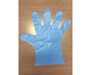 zCg}bNX nhXLj[܁@u[@M@100 1(100) TO-600B