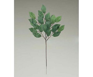 tBbg|Xg ԁ@ 1{ 150105