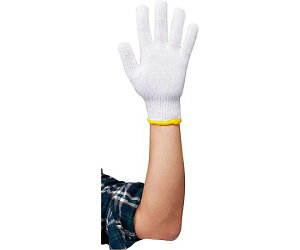 McށiWING@ACEj ECOR10Q[W@12o 1pbN(12o) Oe10Q[W450