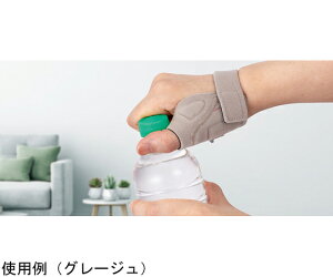 APA TtBbgECM@M@ubN 1 21001