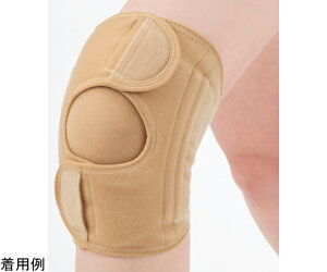 Z@ ڍ@̐搶ďCGT|[^[@x[W@M-L 1 042052002