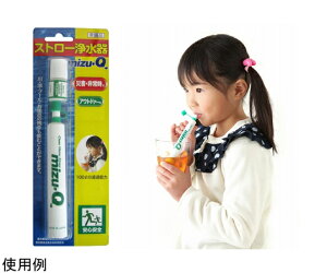 gїp@Xg[򐅊@mizu-Q 1 K10838