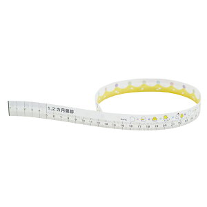 Cg} fBX|[Uuxr[W[iCocoMedi@cfpW[@j1 2p@300 1{(300)