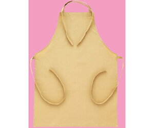 帝健 テクノーラRクリーンルーム用耐切創エプロン 丈77cm×巾57cm 紐付 1枚 EMA-1FY