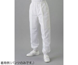 mgt[ N[pc@@L 1 FD303B-01 L