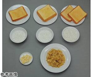 イワイサンプル 糖尿病フリーチョイス「主食」 トースト 90g (磁石なし) 1個 19-2